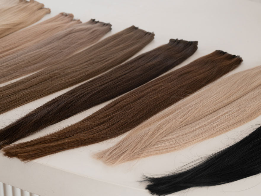 Introducing SHE Wholesale